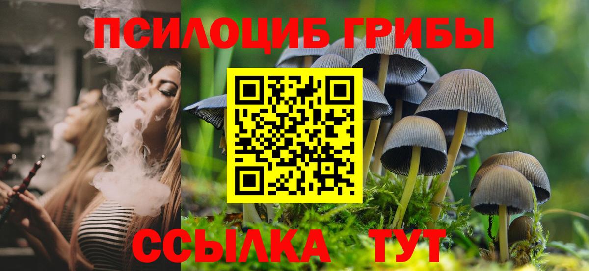 Псилоцибиновые грибы мицелий Тула